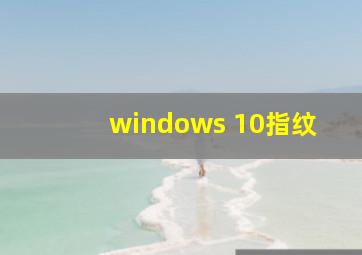 windows 10指纹